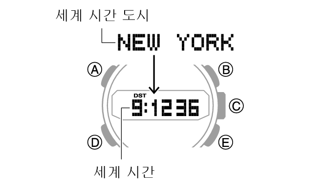 5608_29_WT