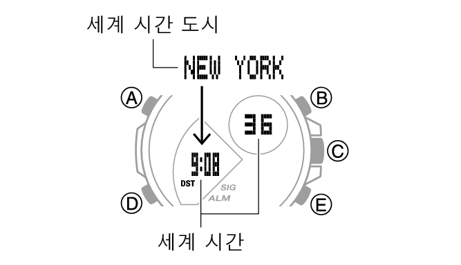 5707_19_WT