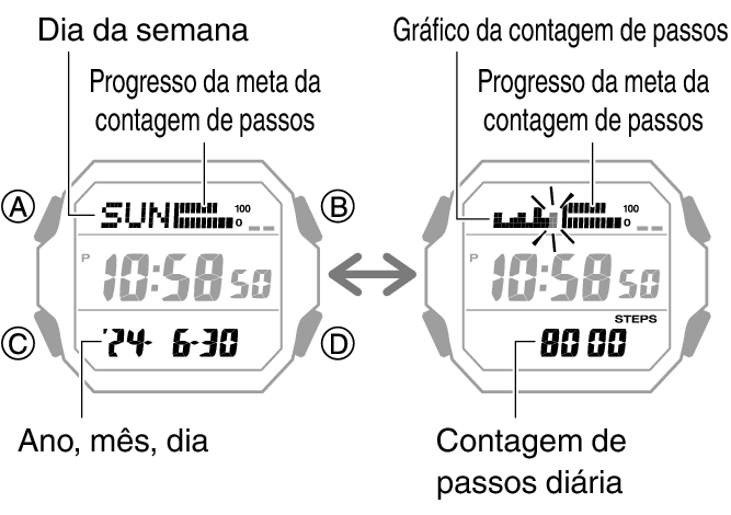 3552_47_fl_Pedometer