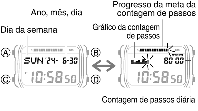 3565_47_fl_Pedometer