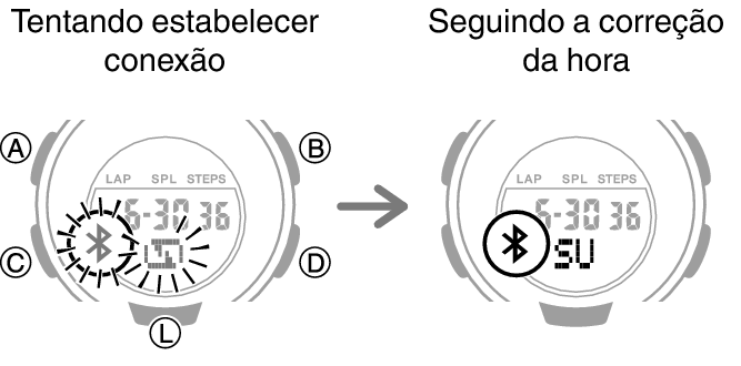 5556_fl_TM_cone_start_after