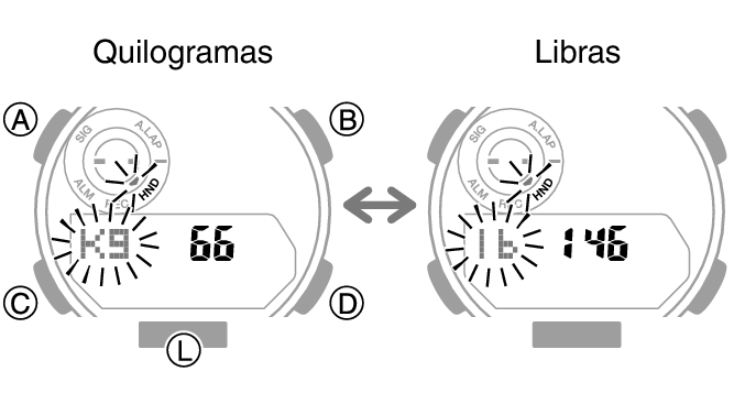 5737_02_fl_EN_Profile