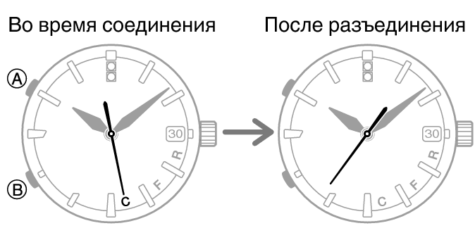 54595460_fl_Cmark_caps