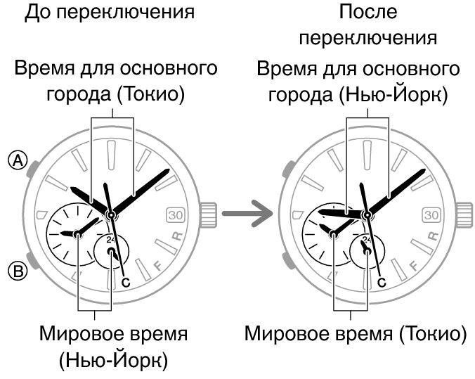 54595460_fl_WT_change