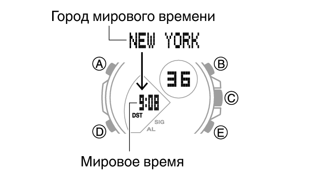 5582_27_WT