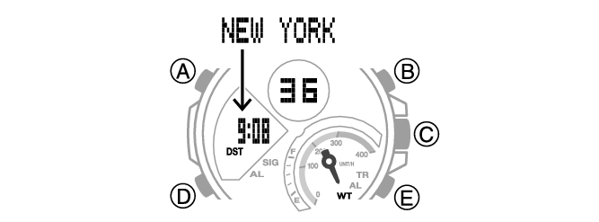 5582_WT