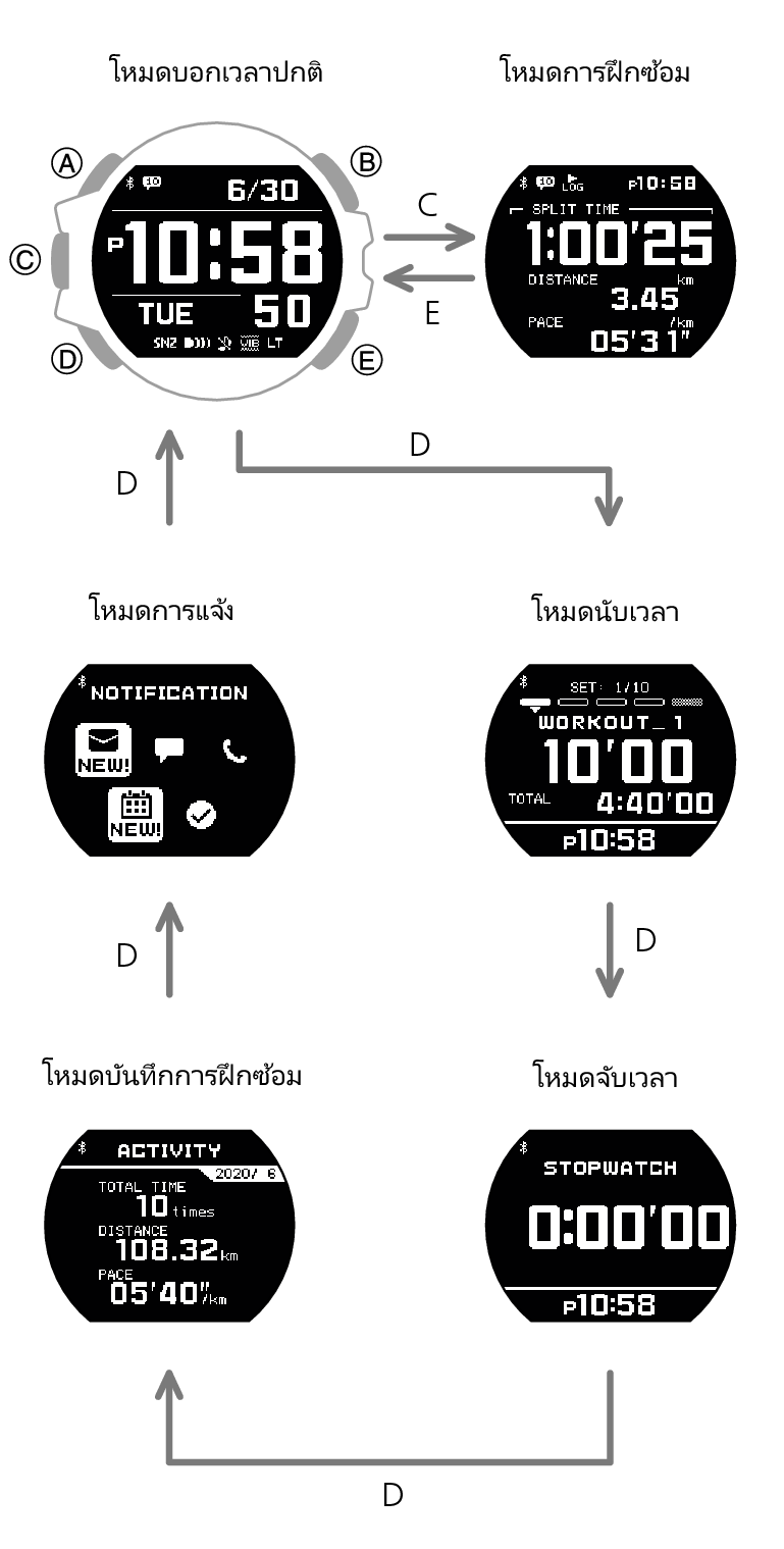 3481_3482_04_gg_Info