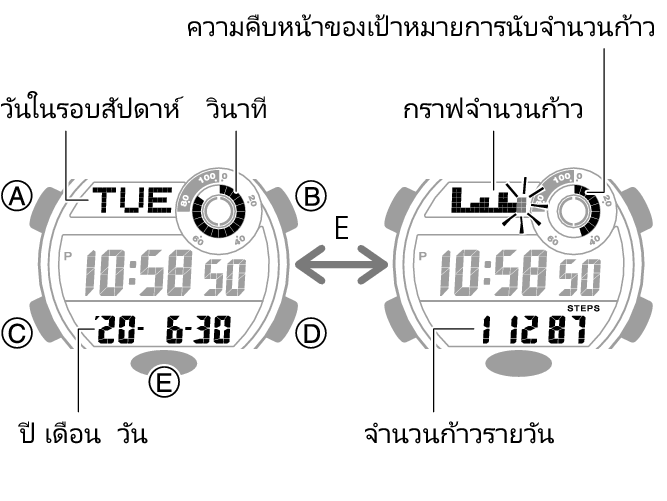 3486_08_fl_Pedometer