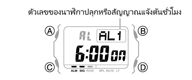 3509_28_ALM