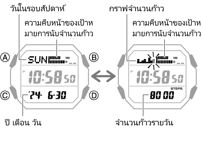 3552_47_fl_Pedometer