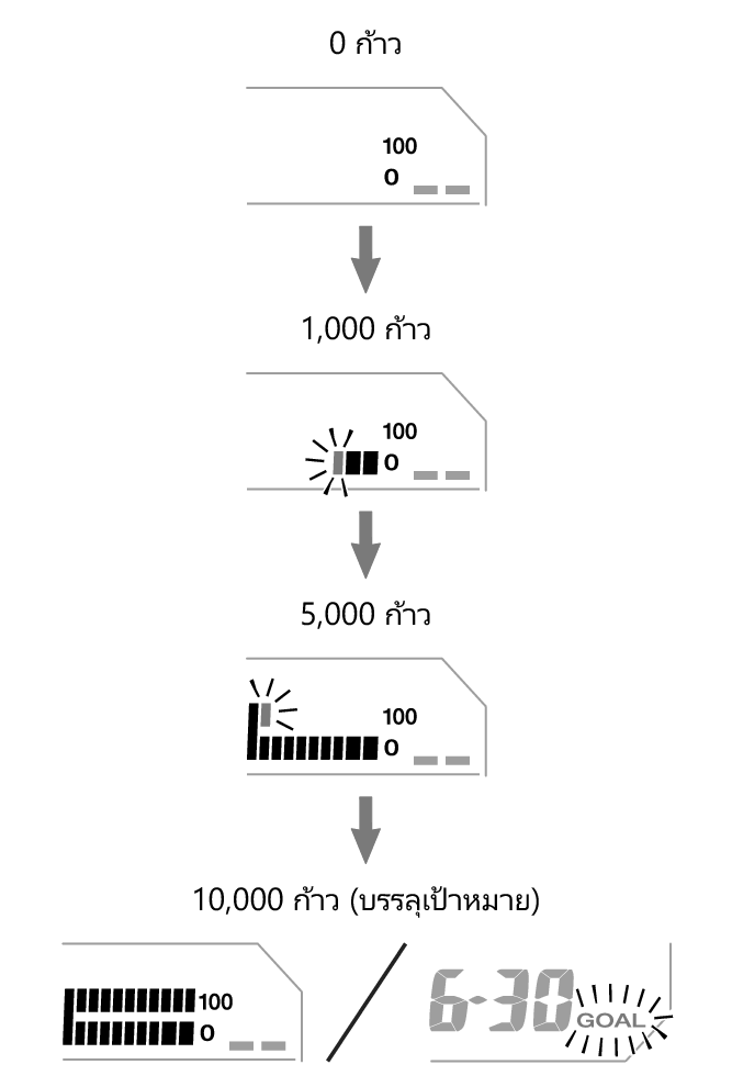 3552_fl_steps_Pedometer