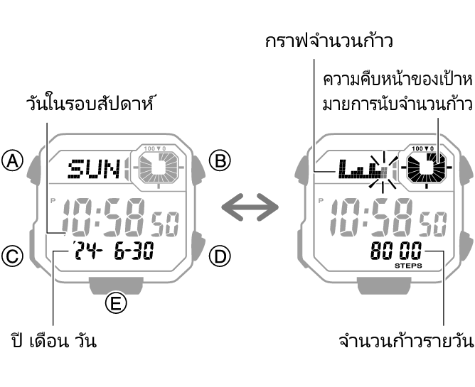 3564_44_fl_Pedometer