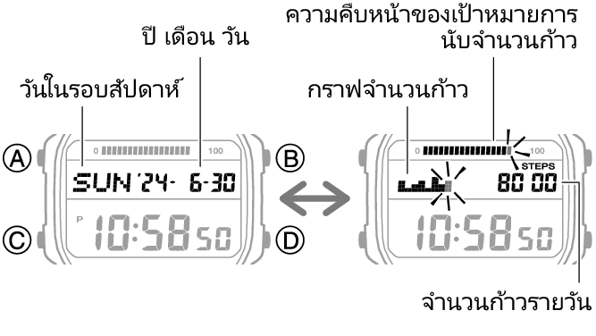 3565_47_fl_Pedometer