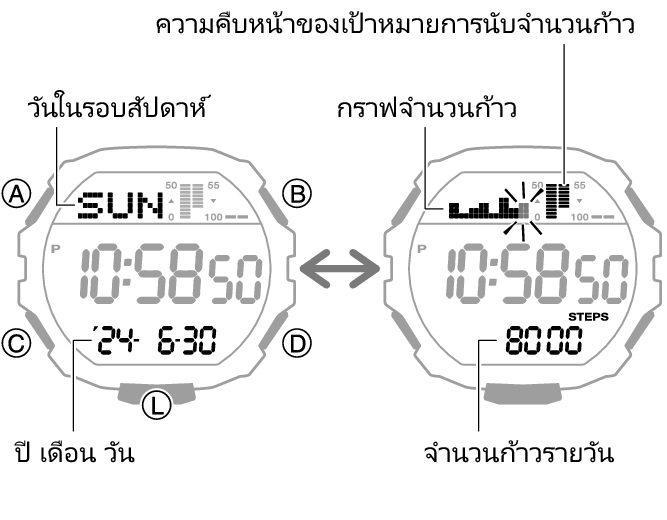 3567_66_fl_Pedometer