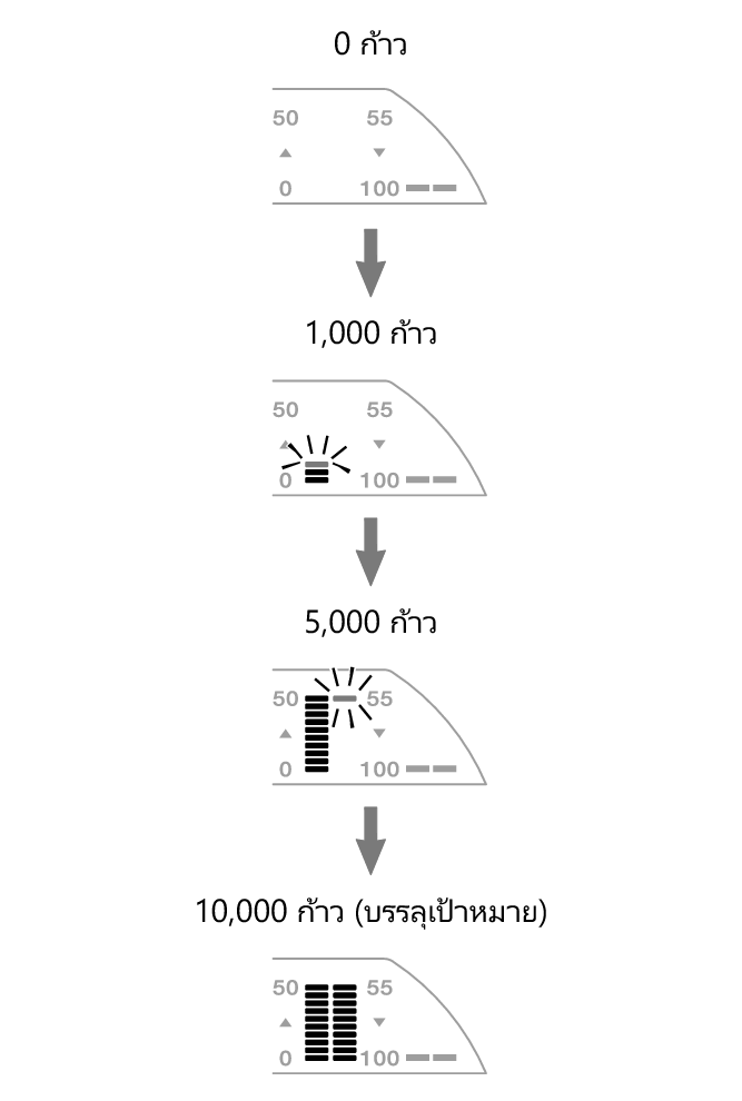 3567_fl_steps_Pedometer