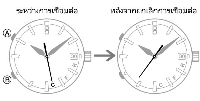 54595460_fl_Cmark_caps