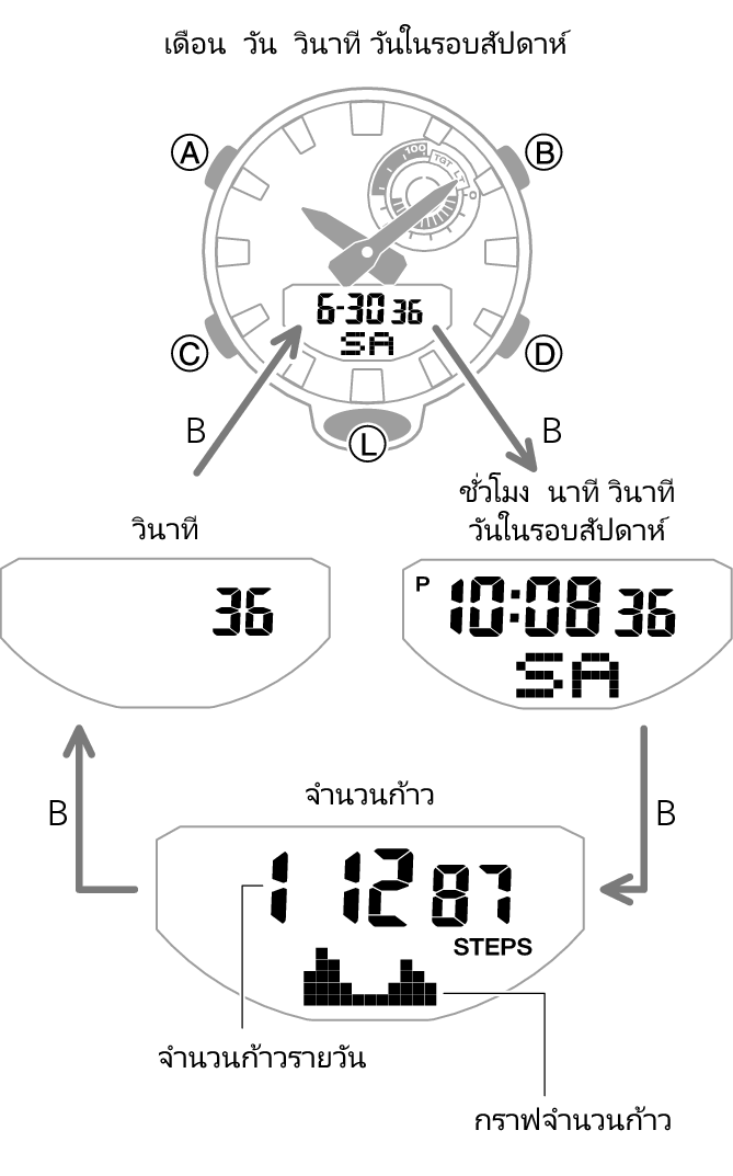 5554_12_PE