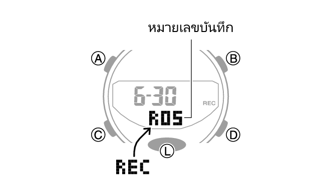 5554_fl_31_rec_ST