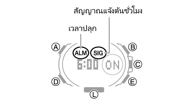 5631_31_ALM