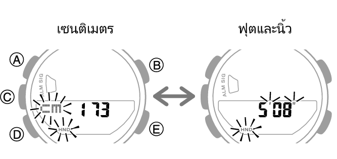 5641_69_fl_EN_Profile