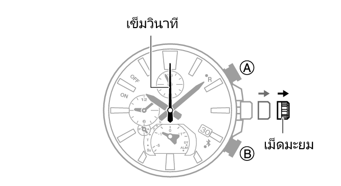 5666_12_MobileLink_TA