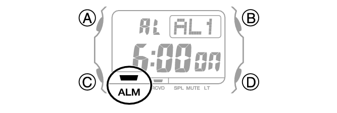 3509_24_ALM