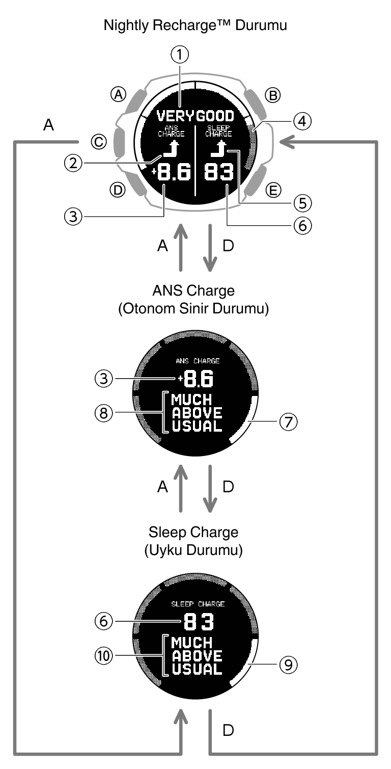 Nightly Recharge™ Durumunu Kontrol Etme Modül No. 3515 GSHOCK Destek