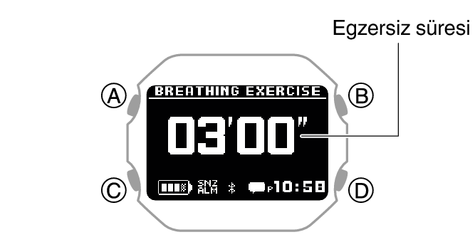 3516_BREATHING_reset