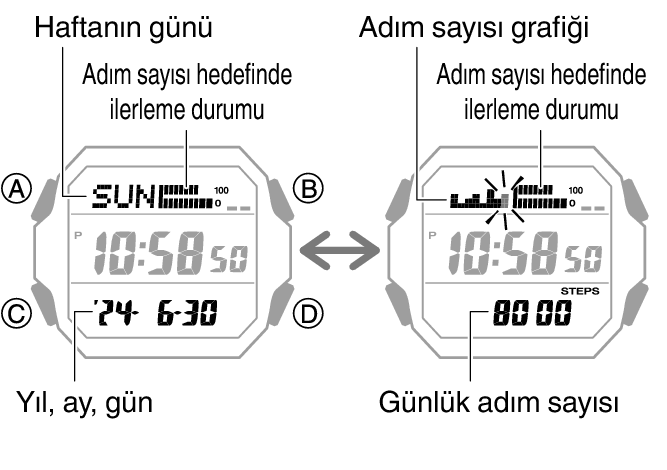 3552_47_fl_Pedometer