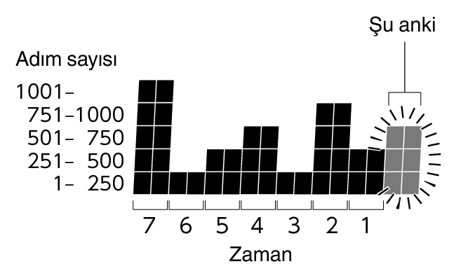 3552_Graph_Pedometer