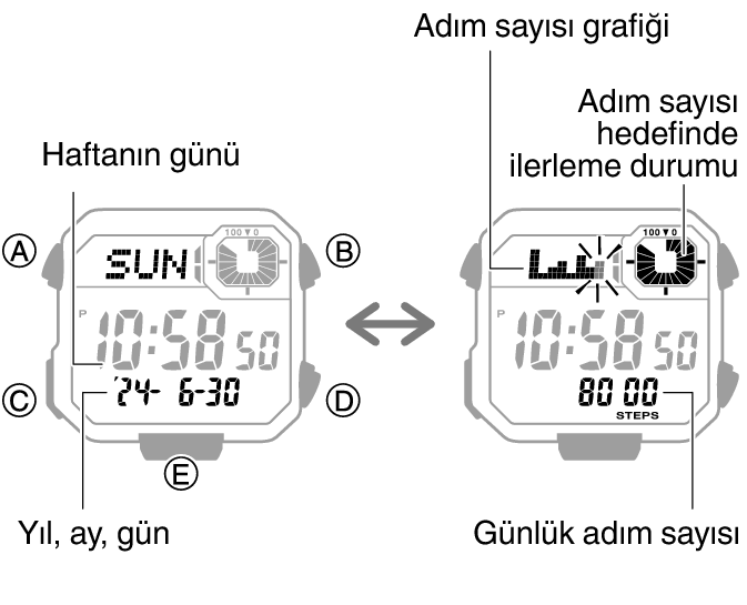 3564_44_fl_Pedometer