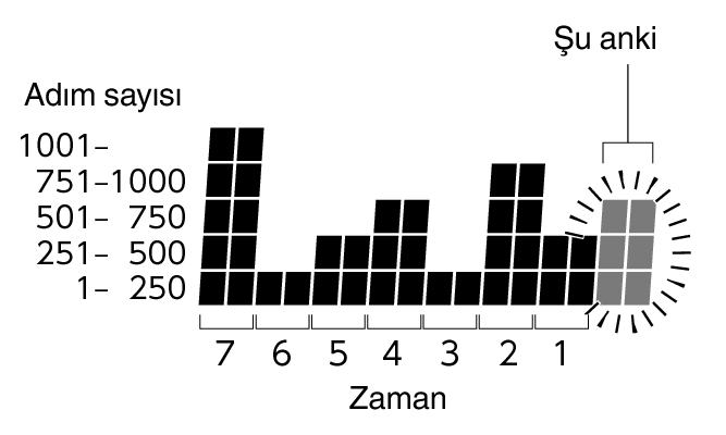 3564_Graph_Pedometer