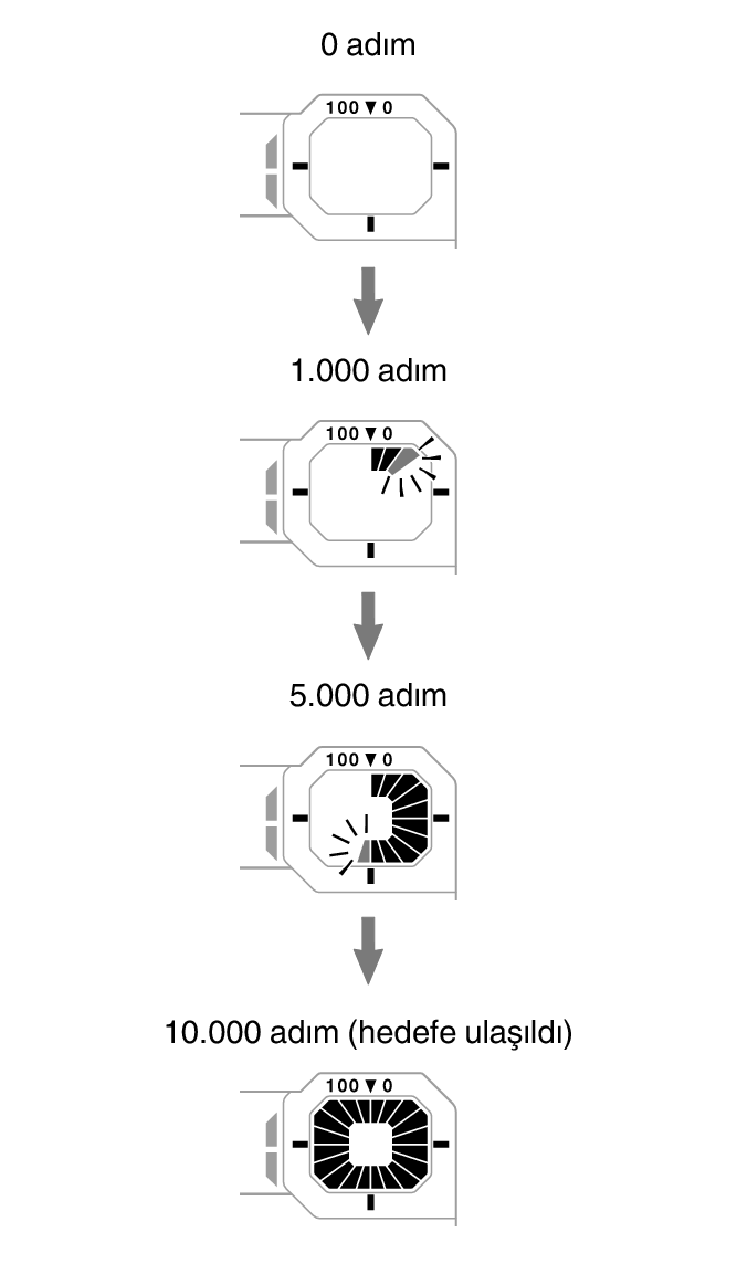 3564_fl_steps_Pedometer