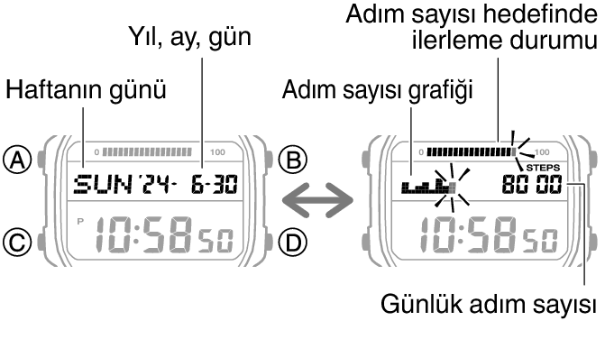 3565_47_fl_Pedometer