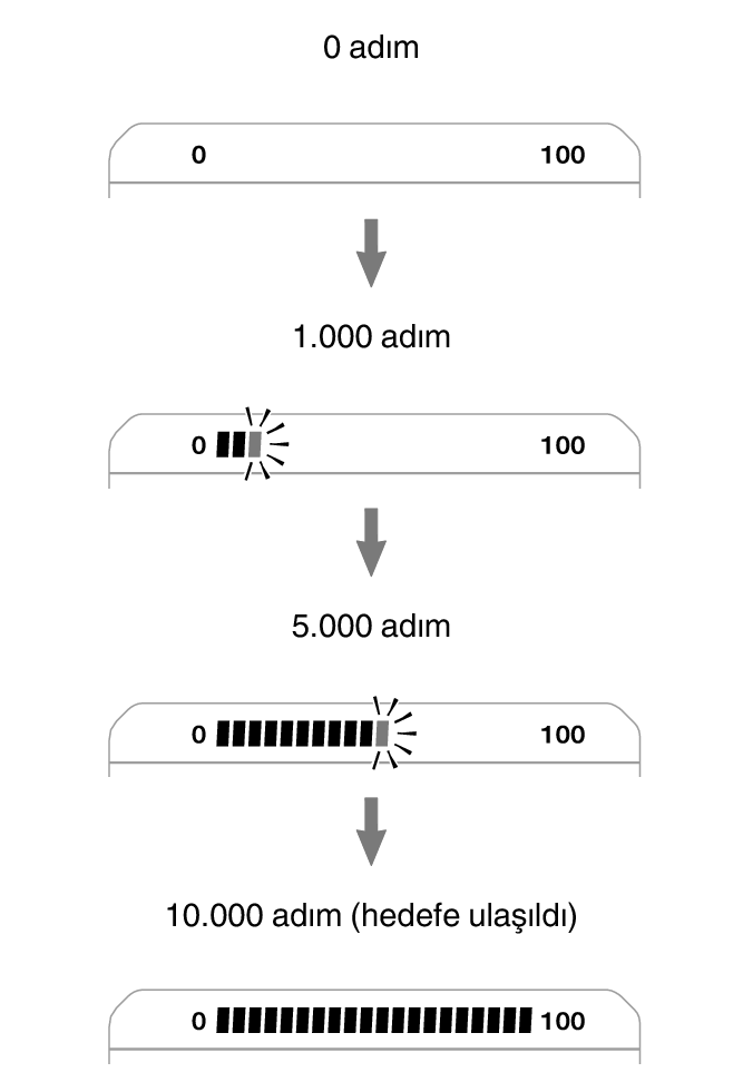 3565_fl_steps_Pedometer