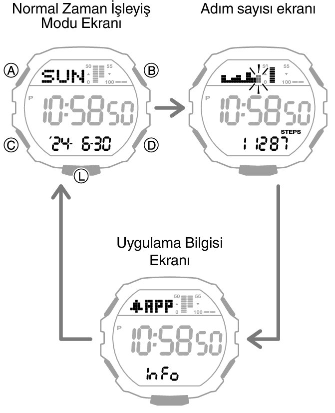 3567_08_DEX_fl_Intro