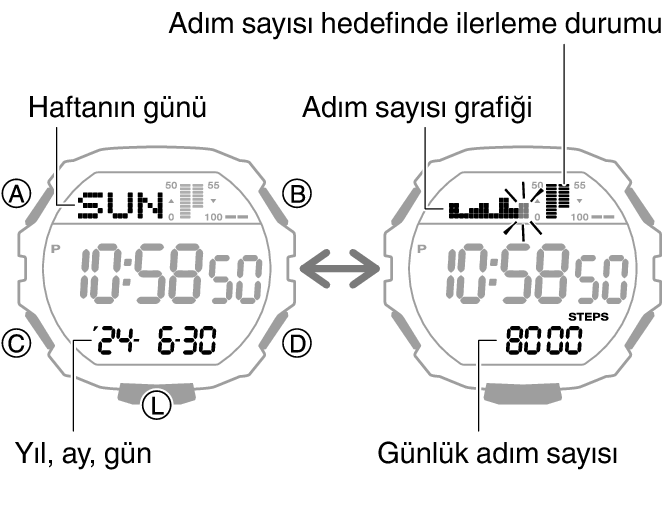 3567_66_fl_Pedometer