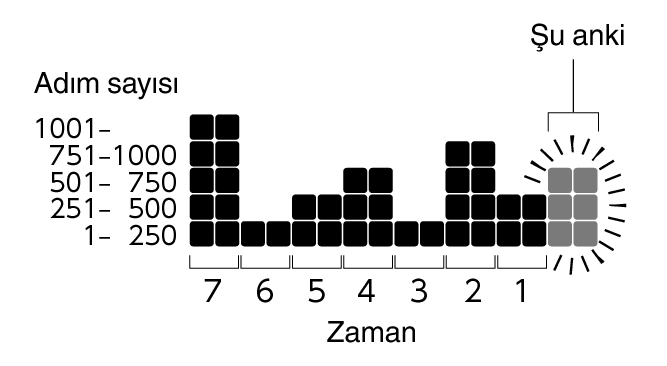 3567_Graph_Pedometer