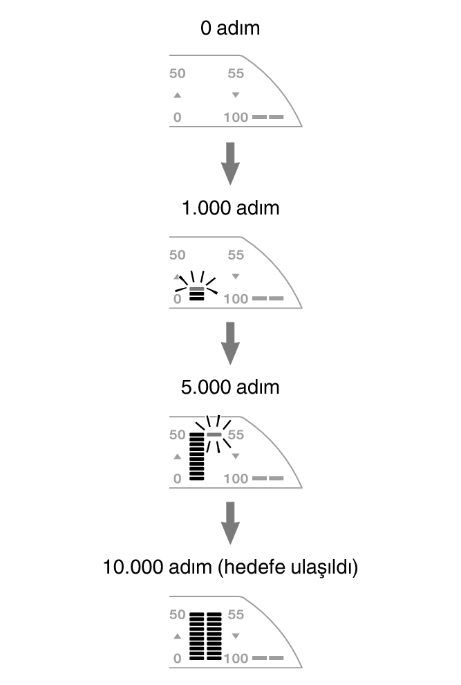3567_fl_steps_Pedometer