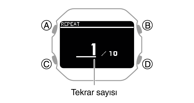 3516_081_ACT_SET