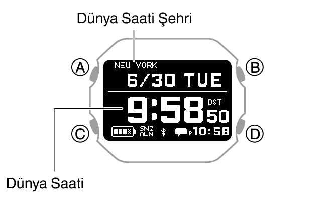 3577_060_WT