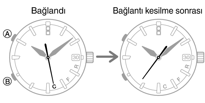 54595460_fl_Cmark_caps