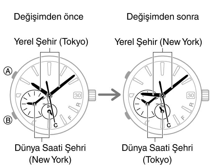 54595460_fl_WT_change