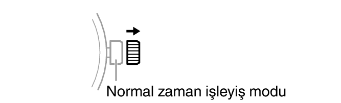 n_crown_PullOut_1_caps