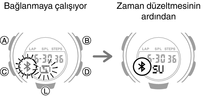 5556_fl_TM_cone_start_after