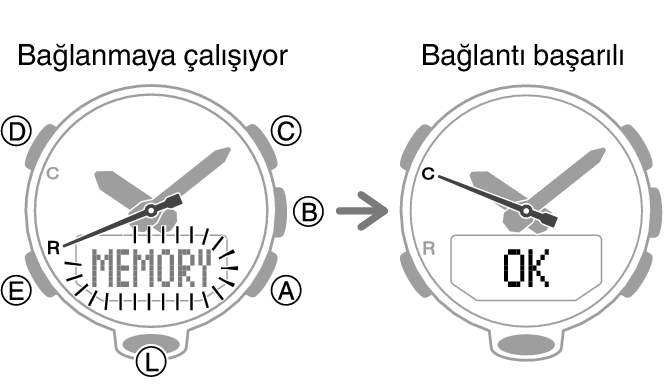 5594_26_fl_MobileLink