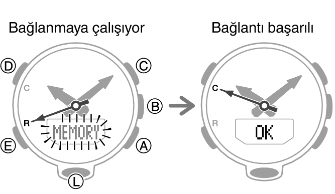 5601_26_fl_MobileLink