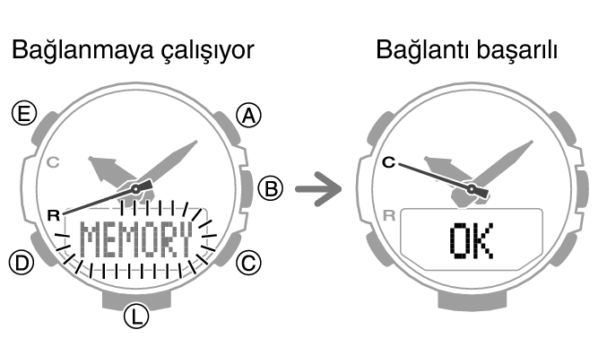 5602_33_fl_MobileLink