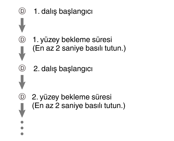 fl_Surface_D_btn_DIVE