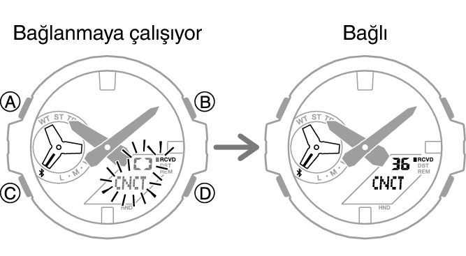 5684_fl_BLEcnct_Start_Finish